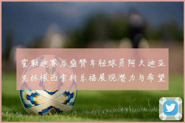 霍勒迪赛后盛赞年轻球员阿夫迪亚克林根西索科乐福展现潜力与希望