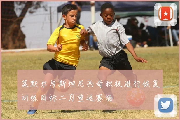 莱默尔与斯坦尼西奇积极进行恢复训练目标二月重返赛场